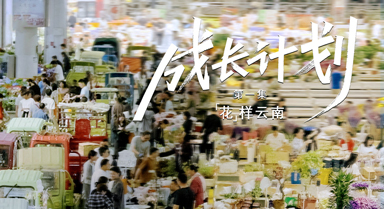 成長計劃丨“花”樣云南